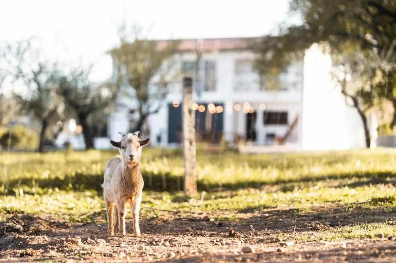 Granja Da Cabrita Bed and Breakfast Coimbra